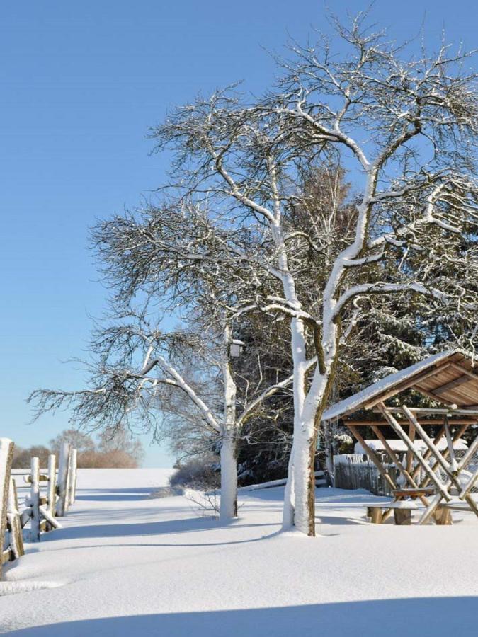 Feriengut Dietzsch Lejlighed Poritzsch Eksteriør billede